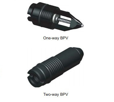 Ein Weisen-Zweiwegrückschlagventil TWCV BPV 2" bis 6-1/16“
