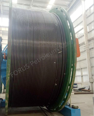 CT80 zur hydraulischen Steuerleitung CT110 umwickelte Schläuche